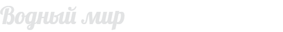 Водный мир